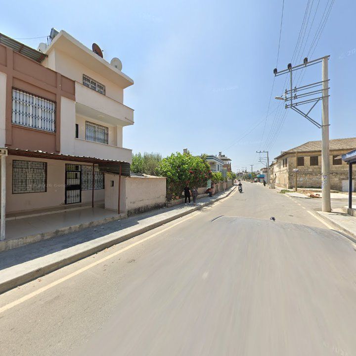 Fotoğraf 3