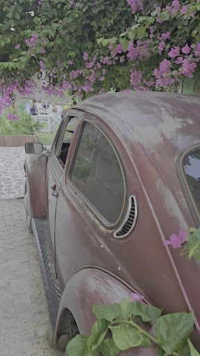 Yorum fotoğrafı 10