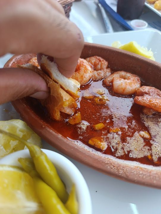 Hamsi Finger Tarsus