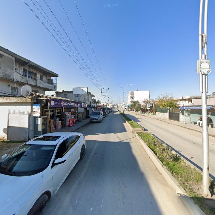 Fotoğraf 3