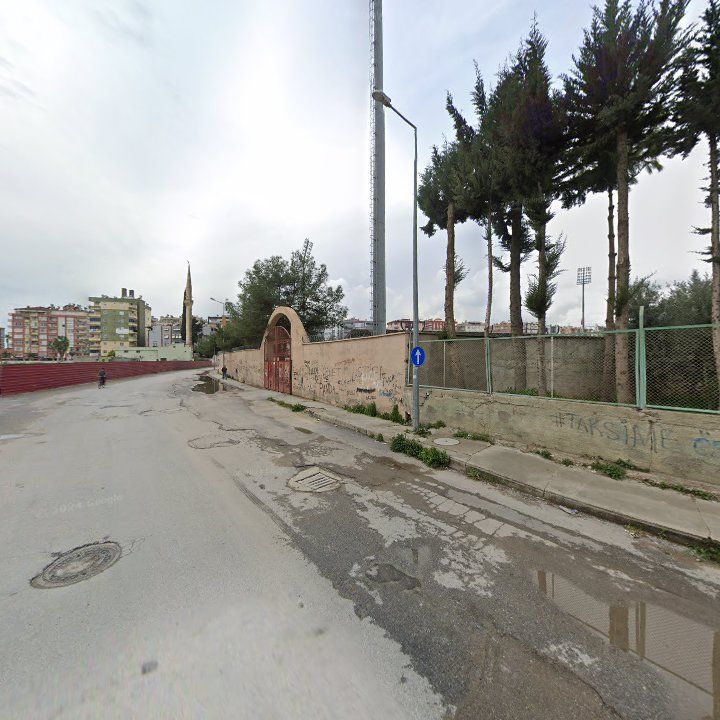 Fotoğraf 3