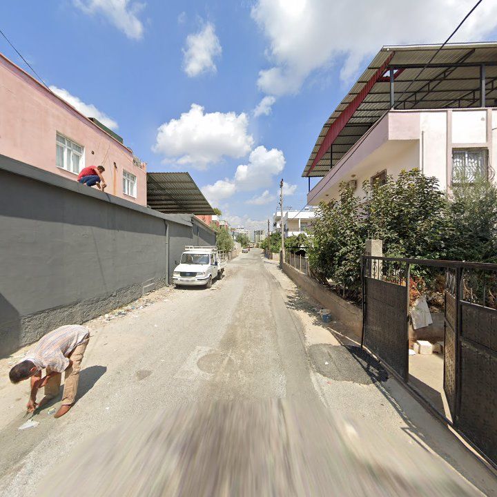 Fotoğraf 3