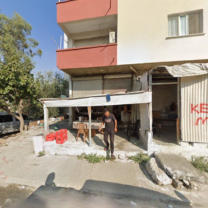 Fotoğraf 3