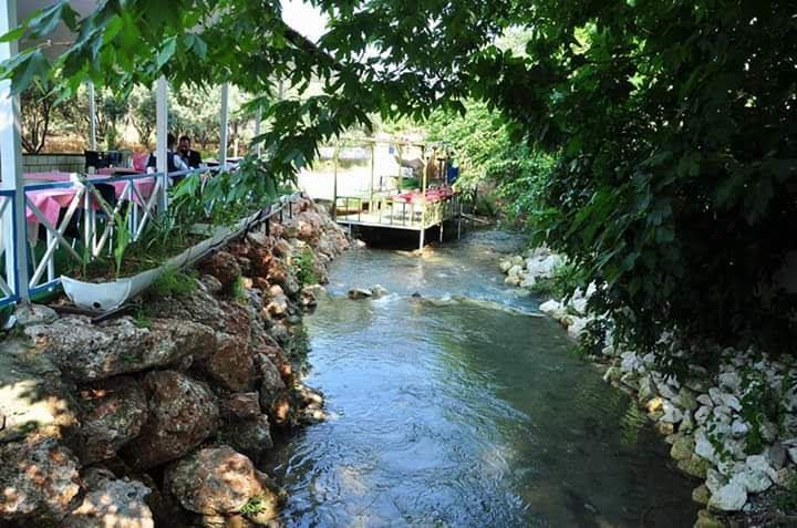 Küçük Ada Balık Ve Izgara Restourant