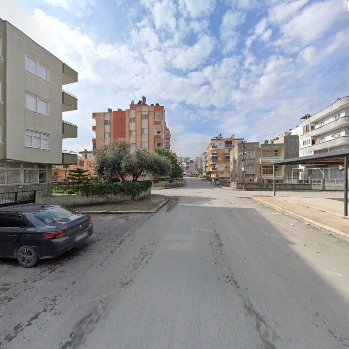 Fotoğraf 4