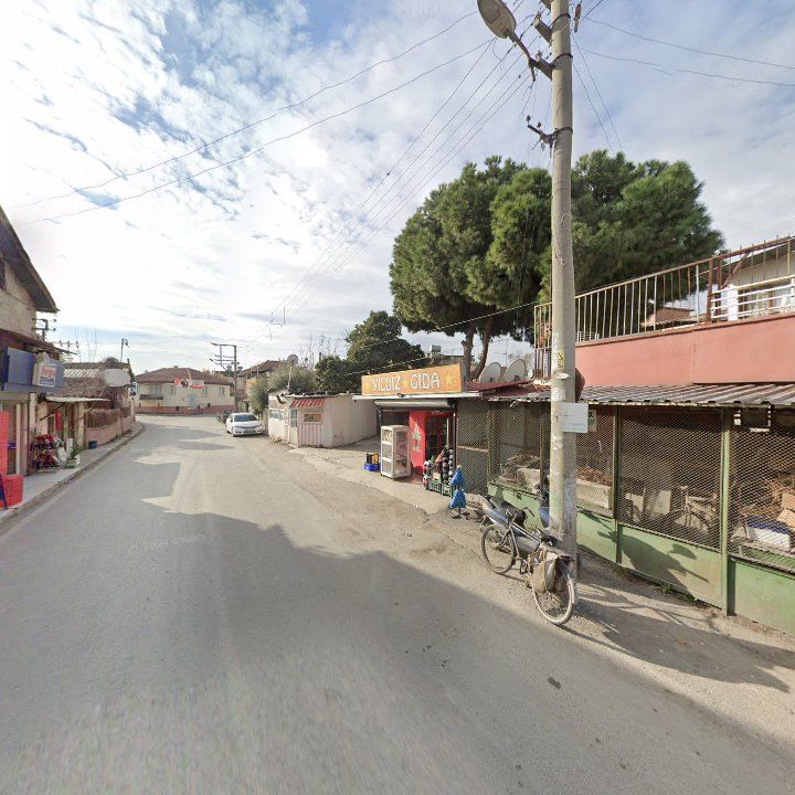 Fotoğraf 3