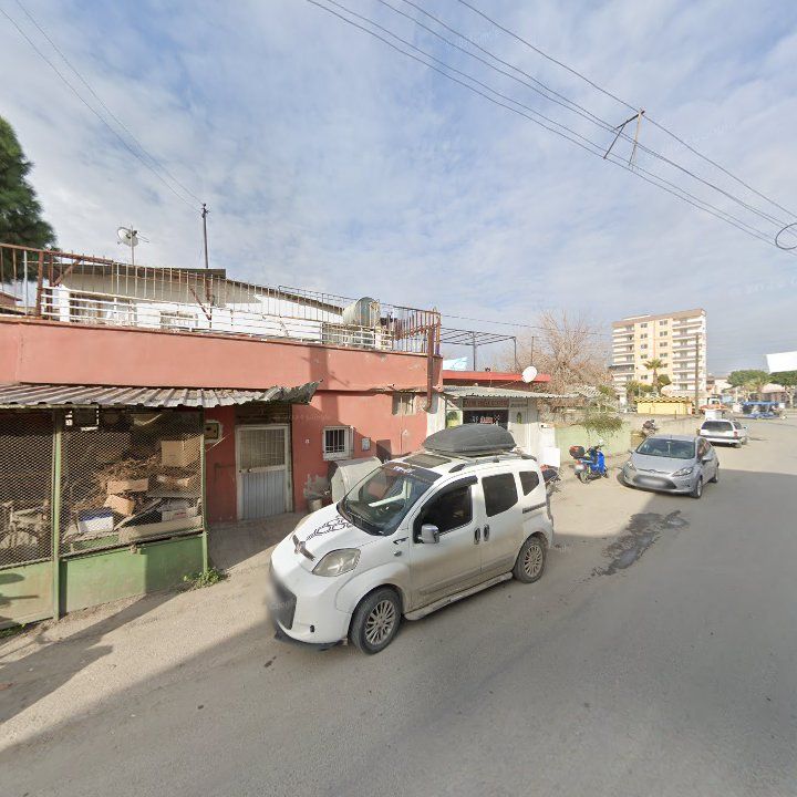 Fotoğraf 4