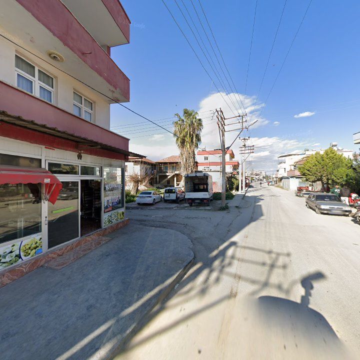 Fotoğraf 3