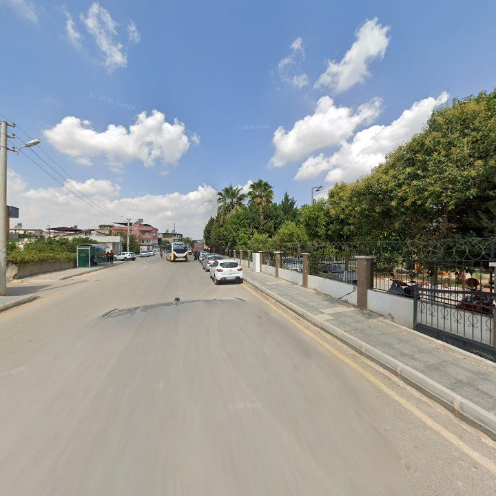 Fotoğraf 3