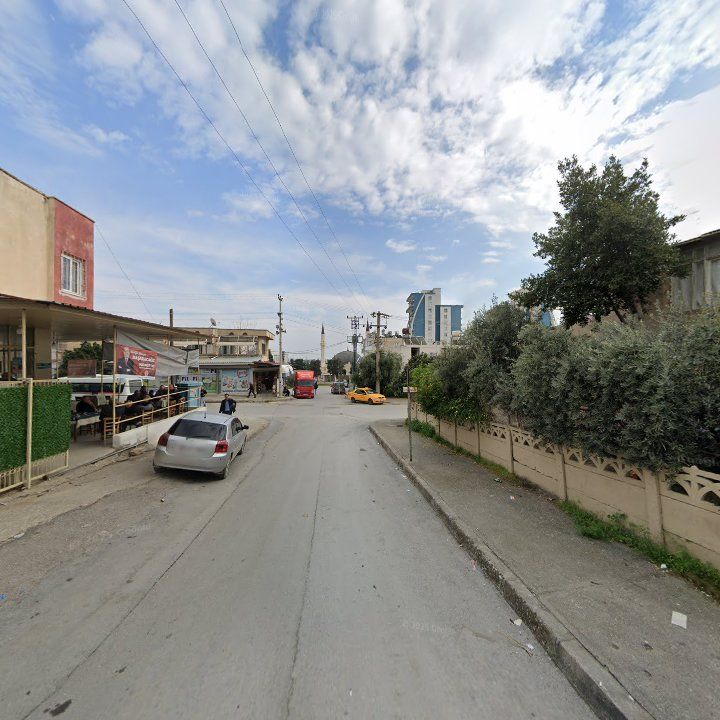 Fotoğraf 5