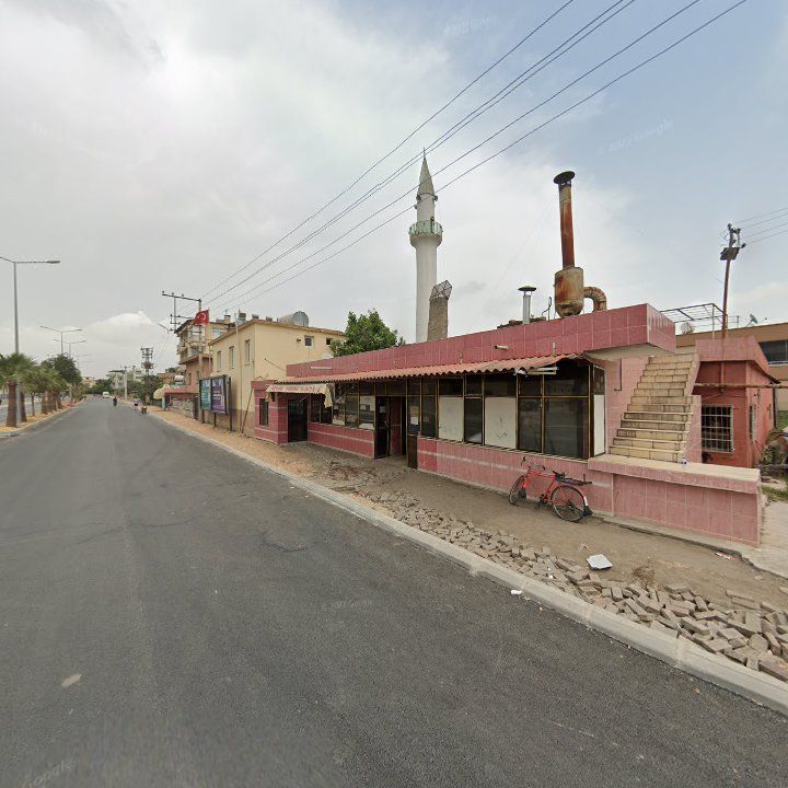 Fotoğraf 3