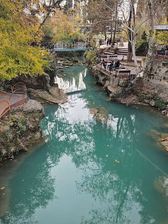 Yorum fotoğrafı 3