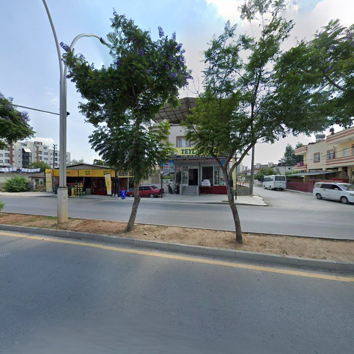 Fotoğraf 3