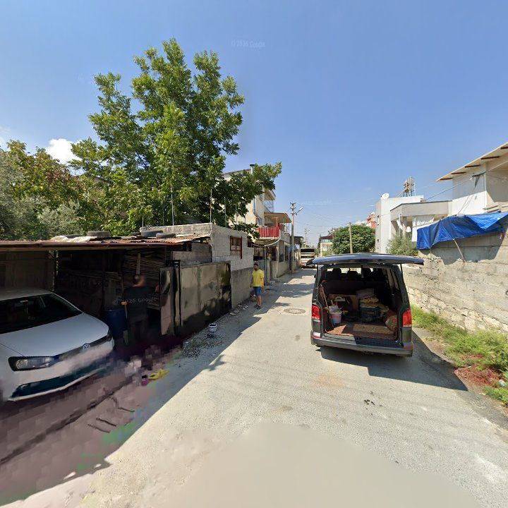 Fotoğraf 4