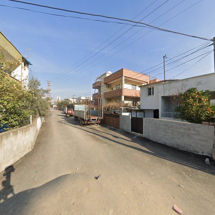 Fotoğraf 3