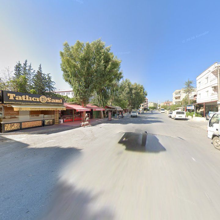Fotoğraf 5