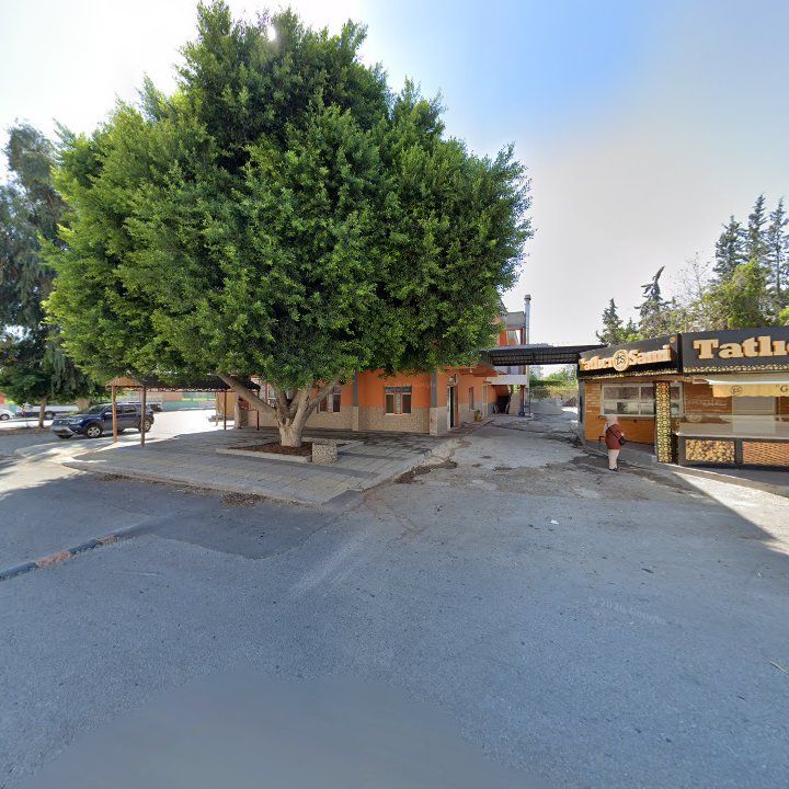 Fotoğraf 4