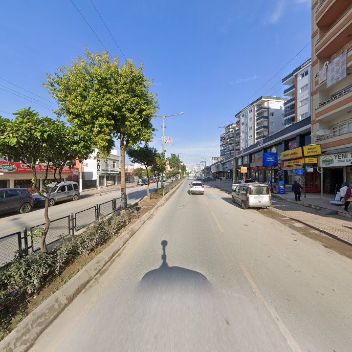 Fotoğraf 5
