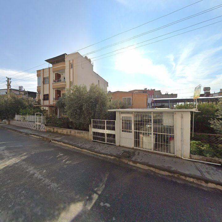 Fotoğraf 3