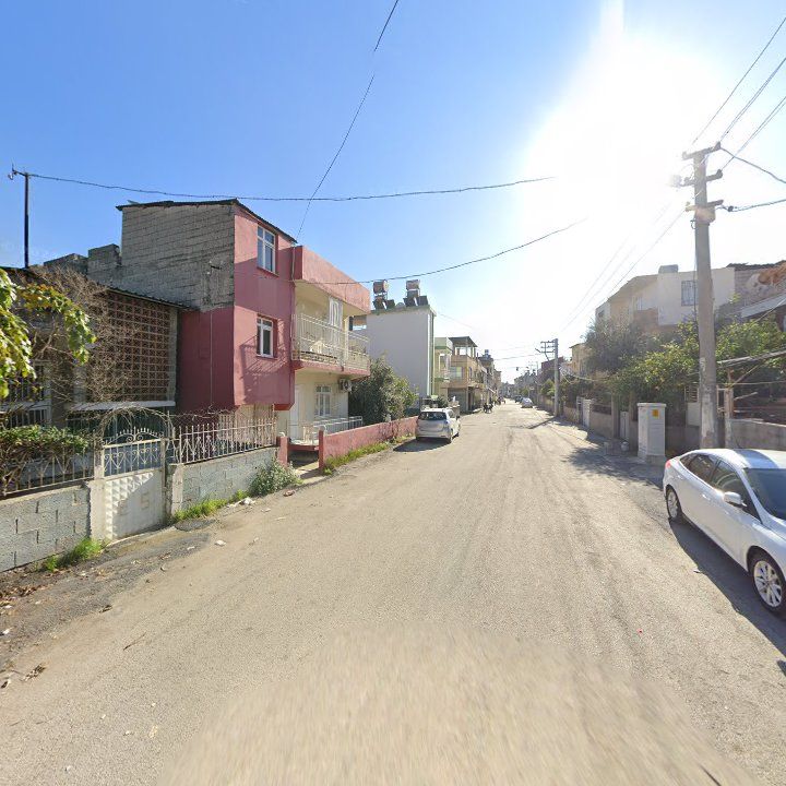 Fotoğraf 5