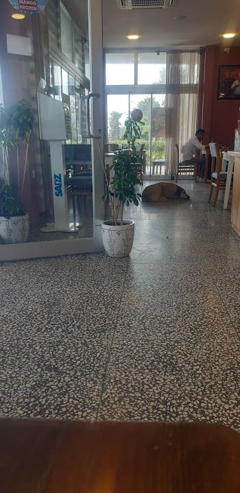 Yorum fotoğrafı 1
