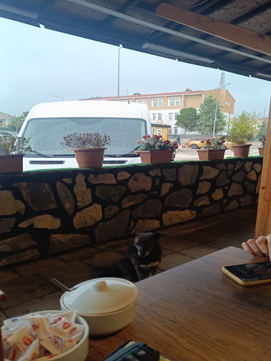 Yorum fotoğrafı 1