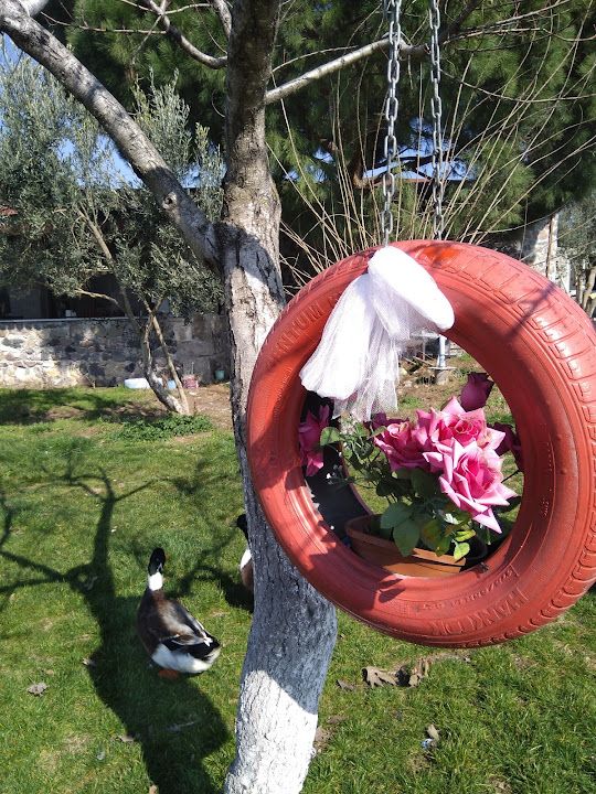 Yorum fotoğrafı 2