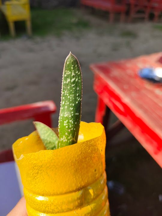 Fotoğraf 14