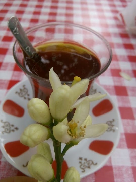 Fotoğraf 17