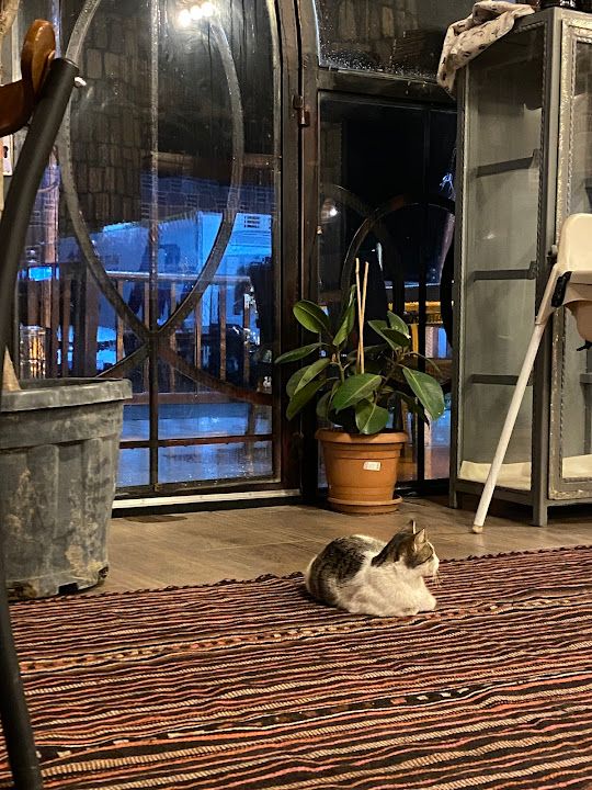 Yorum fotoğrafı 1