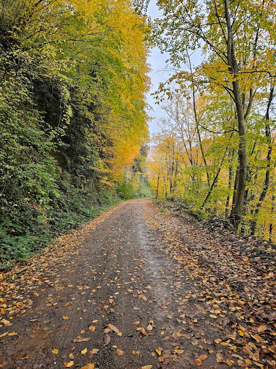 Fotoğraf 13
