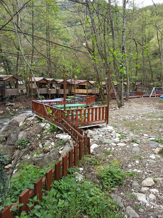 Fotoğraf 23
