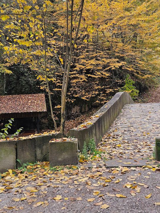 Fotoğraf 14