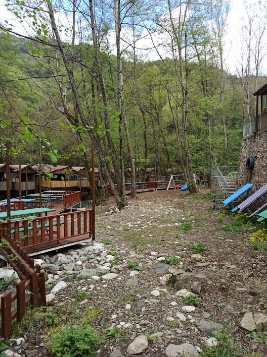 Fotoğraf 24