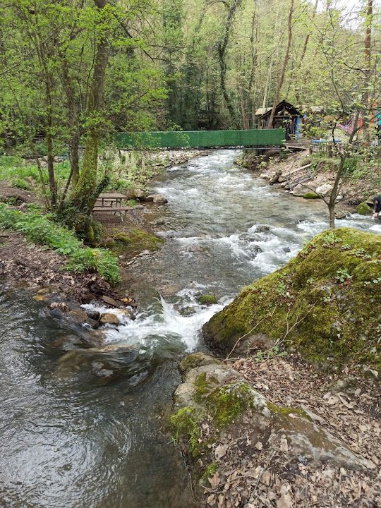Fotoğraf 21