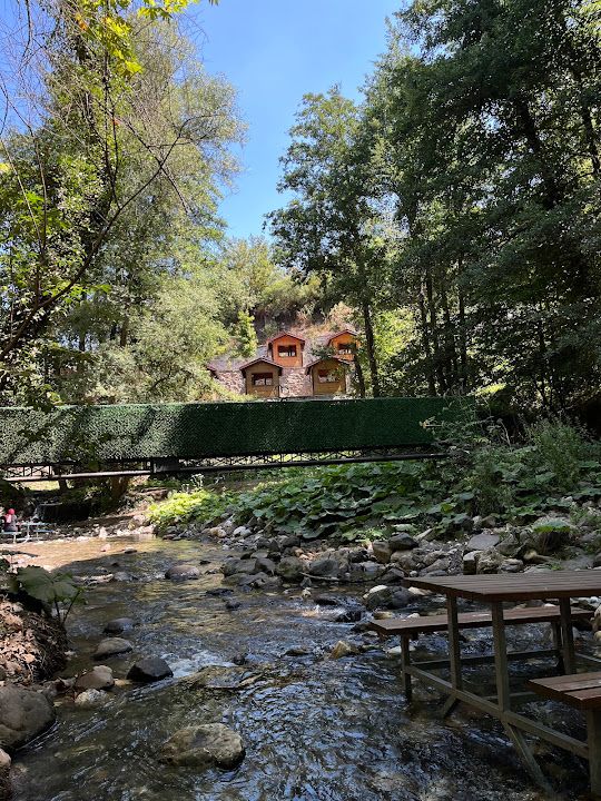 Fotoğraf 36