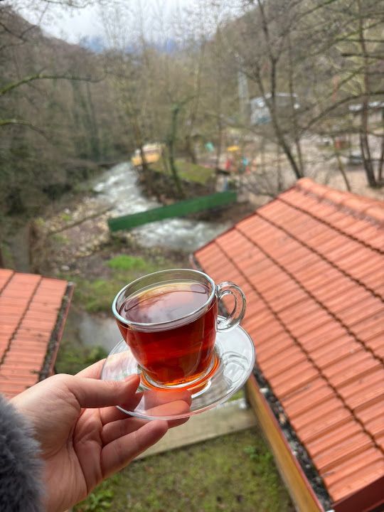 Fotoğraf 19