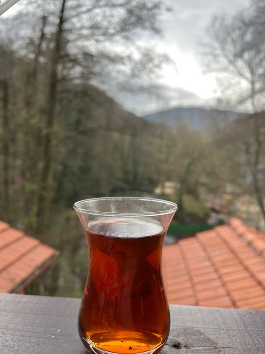 Fotoğraf 49