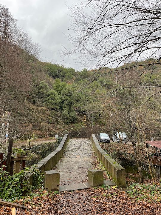 Fotoğraf 51