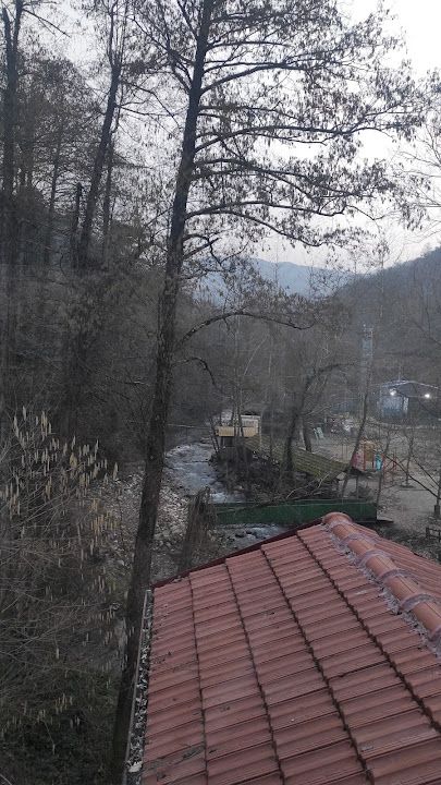Fotoğraf 46