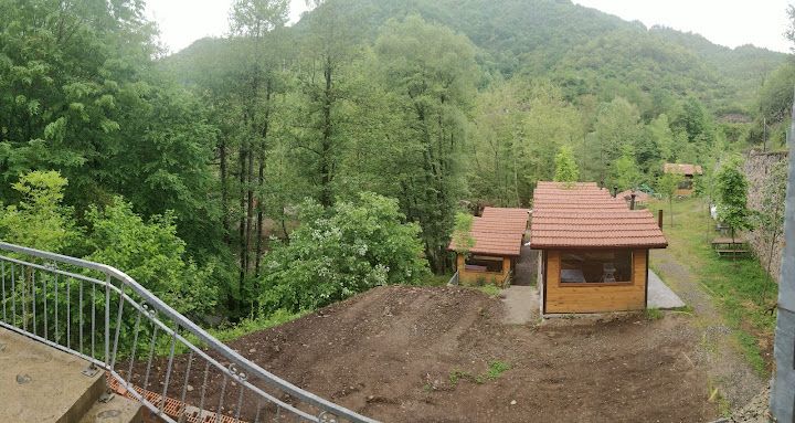Fotoğraf 43