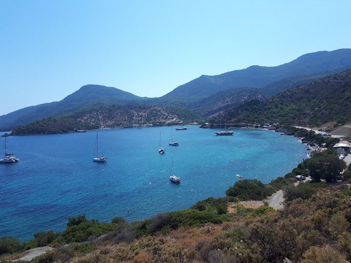 Yorum fotoğrafı 2