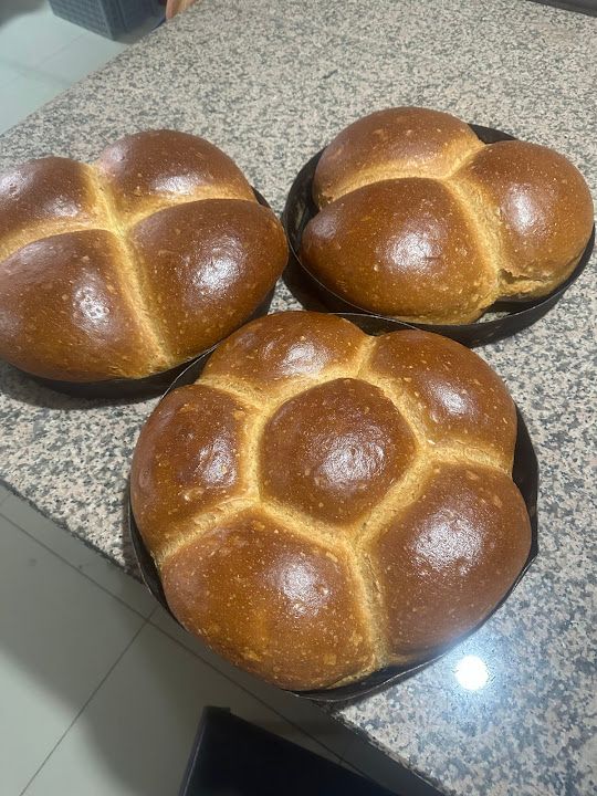 Fotoğraf 14