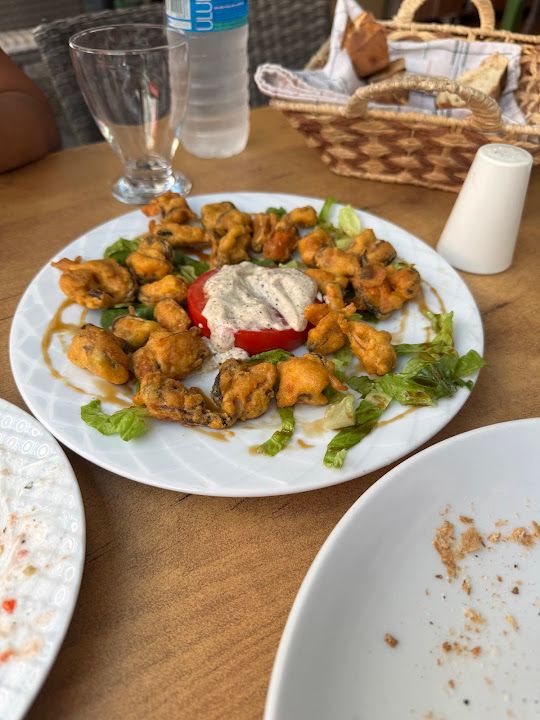 Yorum fotoğrafı 1