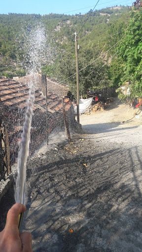 Yorum fotoğrafı 4