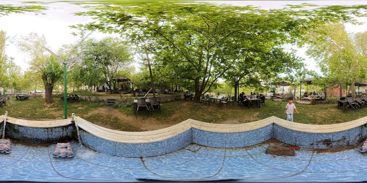 Fotoğraf 27