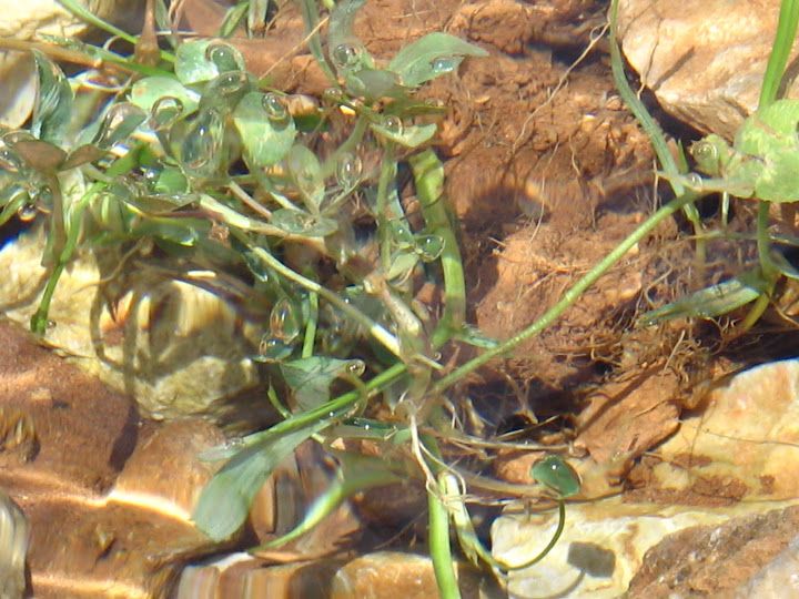 Fotoğraf 29
