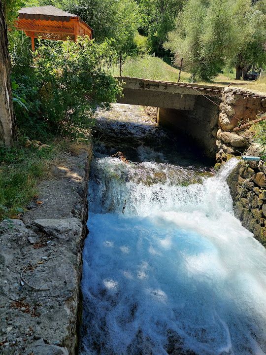 Yorum fotoğrafı 3