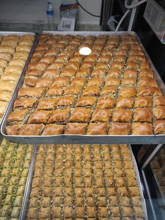 Fotoğraf 15