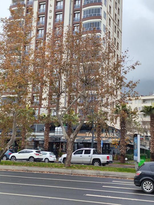 Yorum fotoğrafı 3